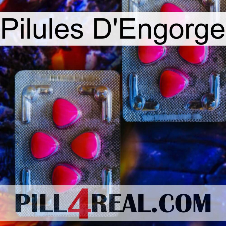 Engorge Pills 14